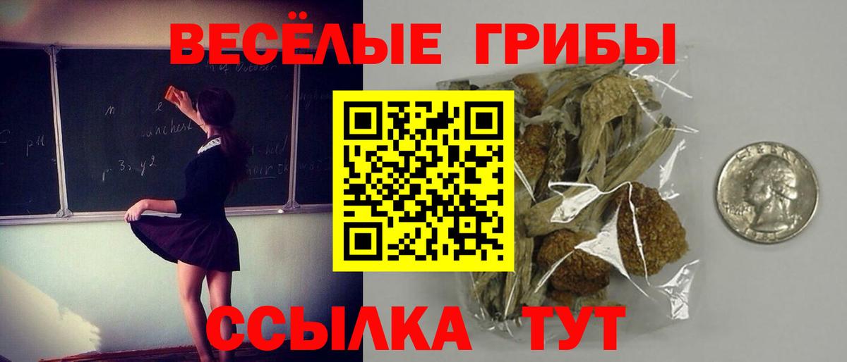 Галлюциногенные грибы мицелий Карталы